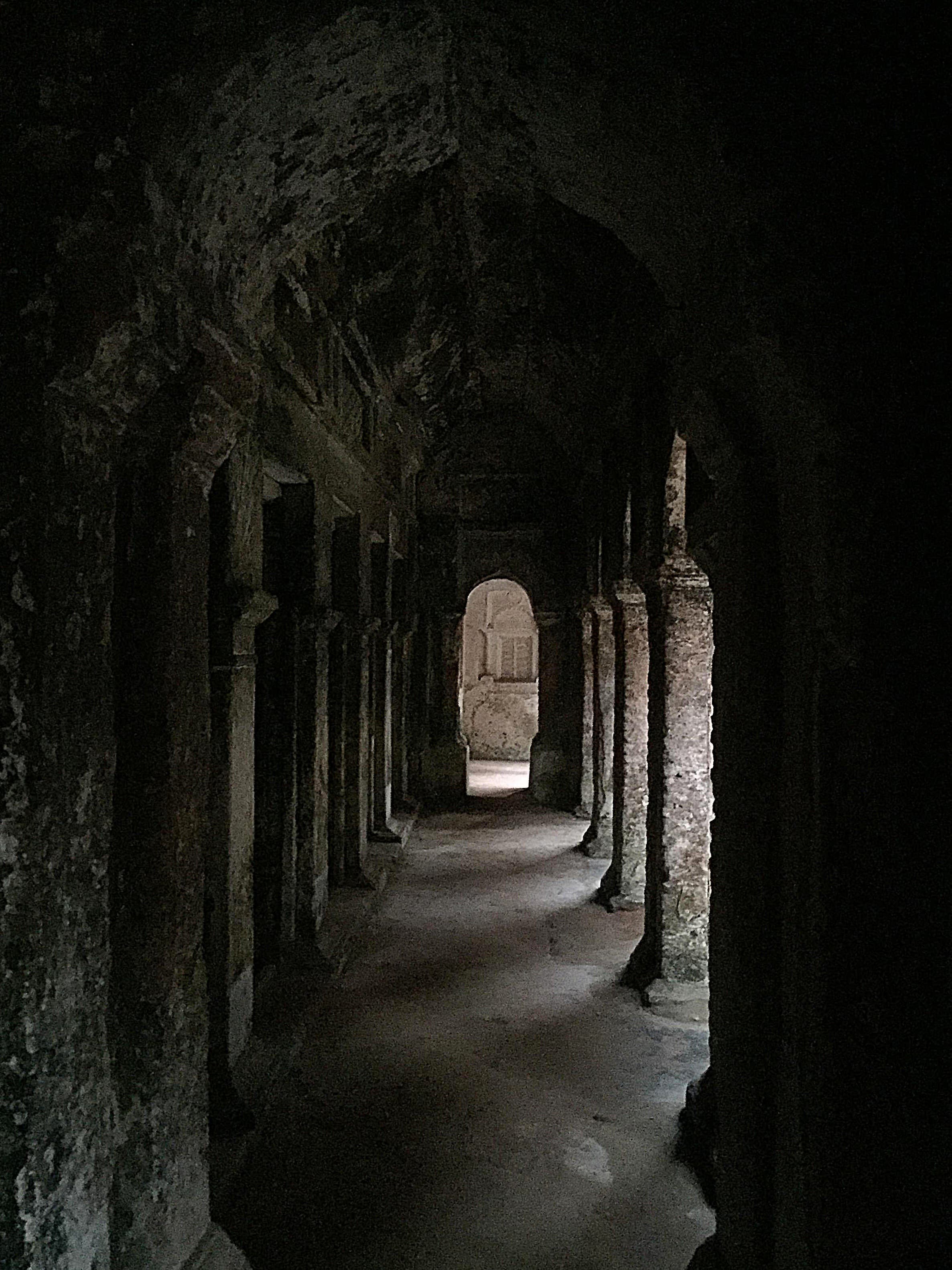 Echoes of Time