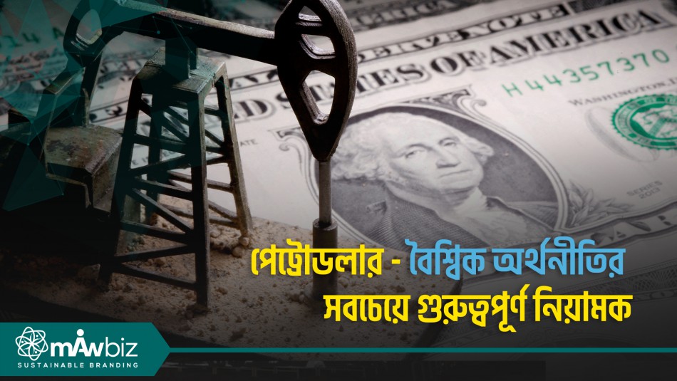 পেট্রোডলার - বৈশ্বিক অর্থনীতির সবচেয়ে গুরুত্বপূর্ণ নিয়ামক