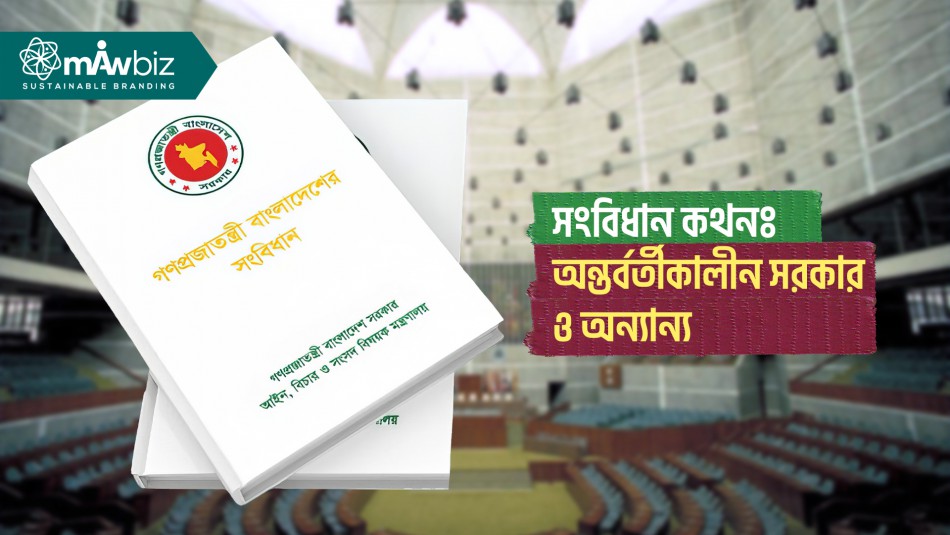 সংবিধান কথনঃ অন্তর্বর্তীকালীন সরকার ও অন্যান্য