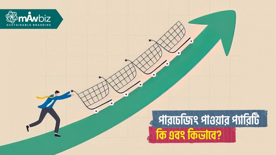 পিপিপিঃ কি এবং কিভাবে? বাংলাদেশে আমেরিকার ন্যায় জীবনযাপন করতে চাইলে যত আয় করতে হবে আপনাকে।