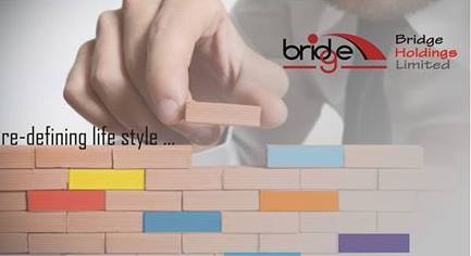 Bridge Holdings Ltd.
