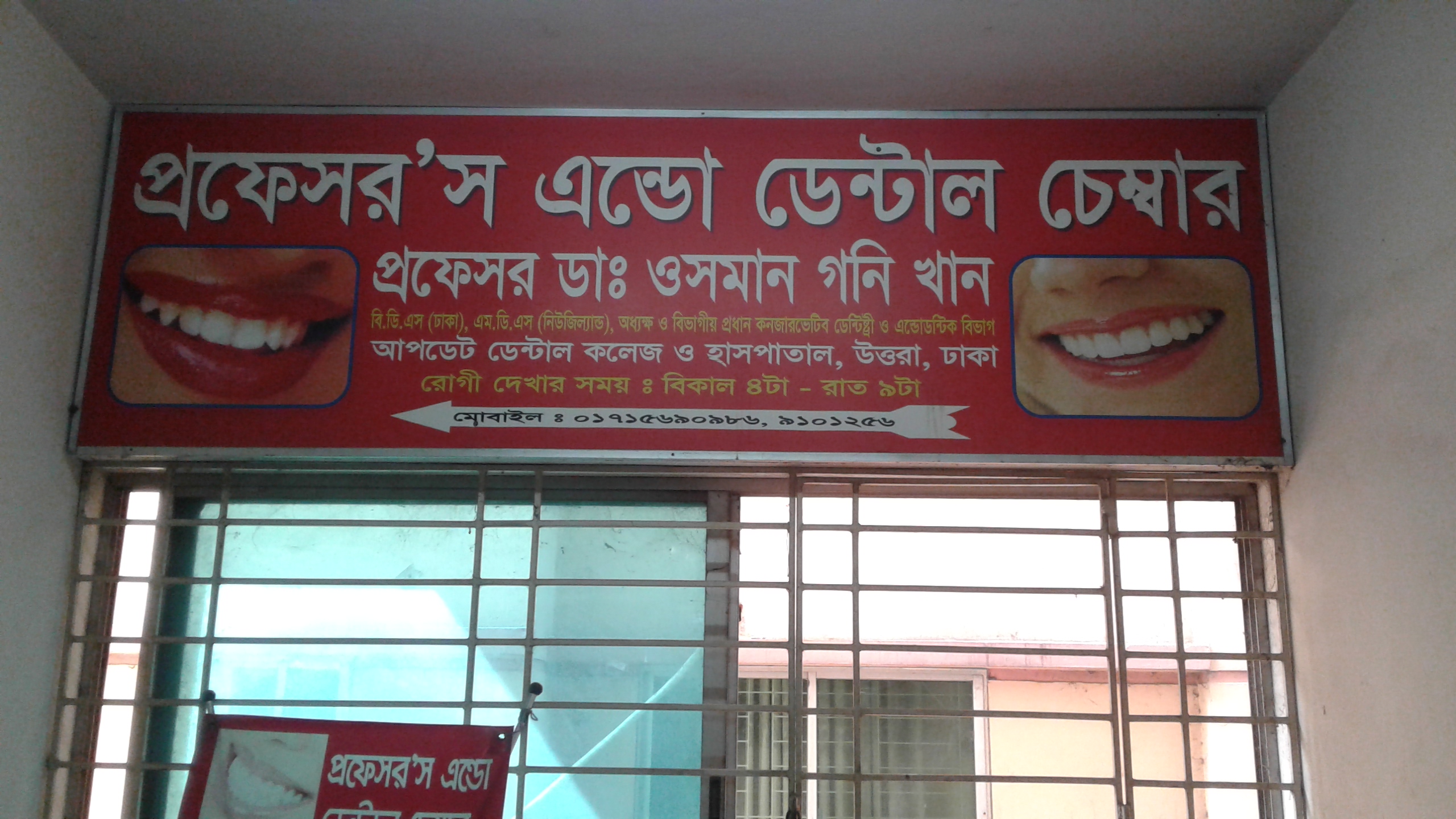 Professors Endo Dental Chamber