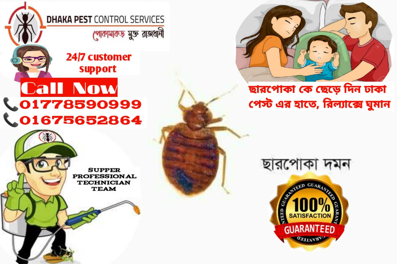 Pest Control Service Dhaka...