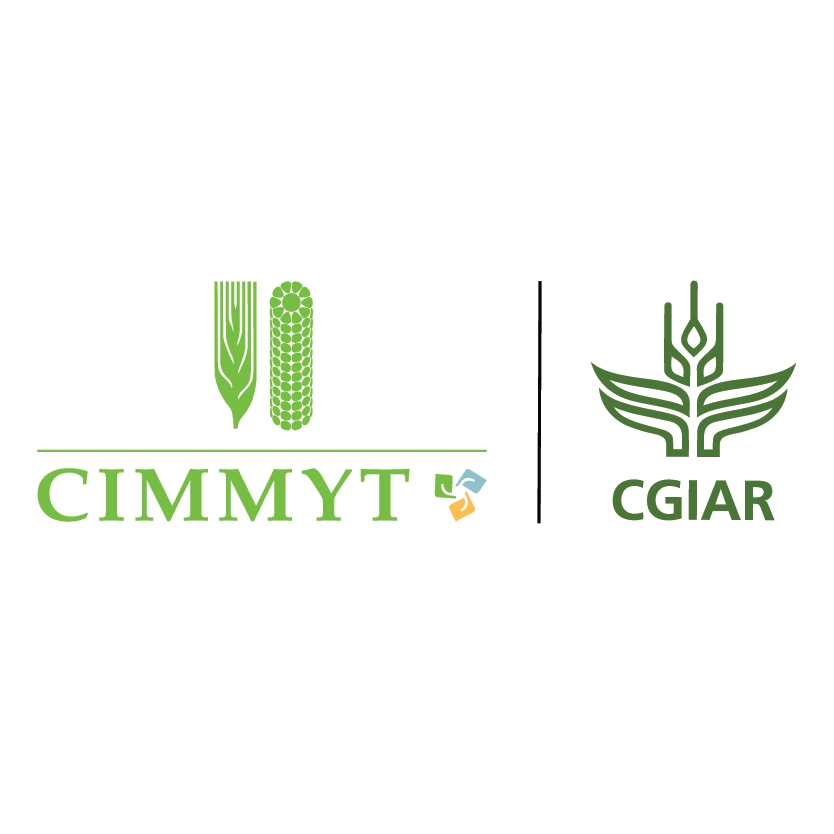 CIMMYT Bangladesh