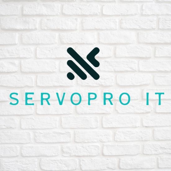 Servopro IT Ltd.