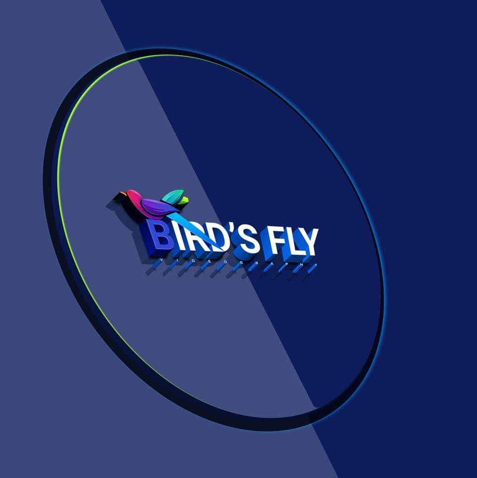 Birds Fly
