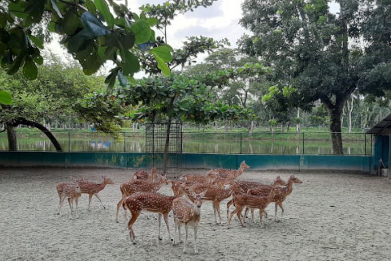 bonobilash.zoo.in.khulna