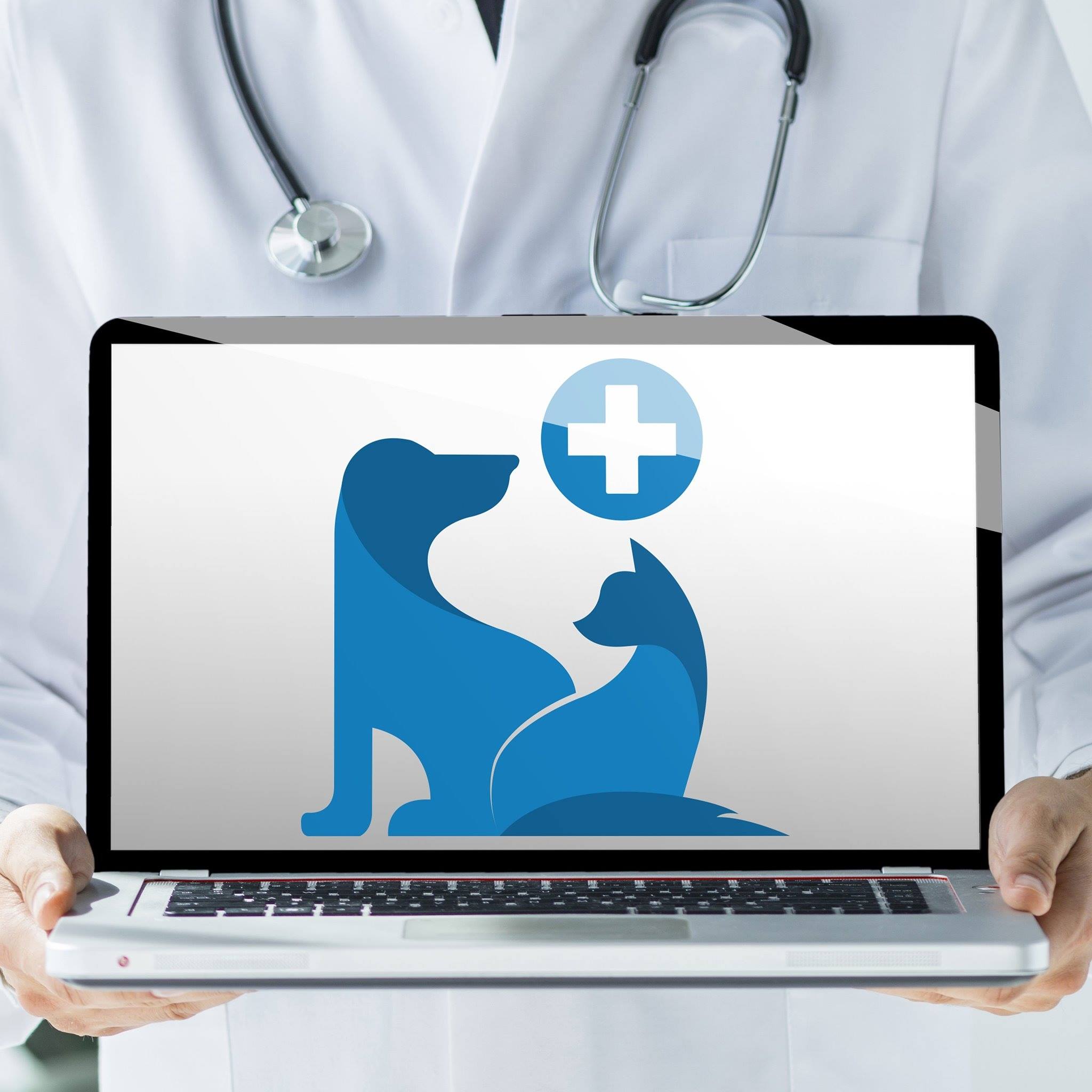 Care & Cure Veterinary Clinic