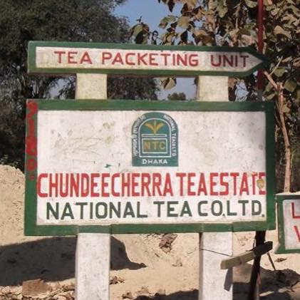 Chundeecherra Tea Estate
