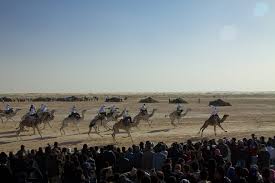 Desert Life International