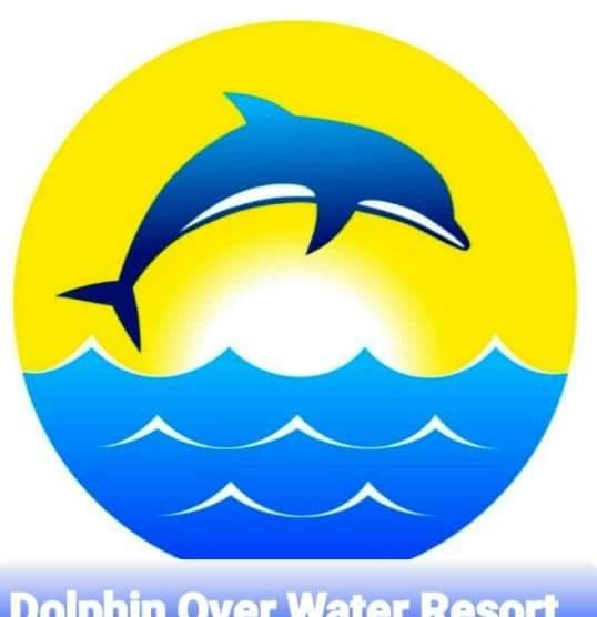 Dolphin over water resort
