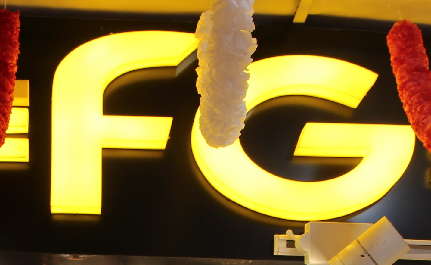 FG Fashion Jewellery (Genetic...