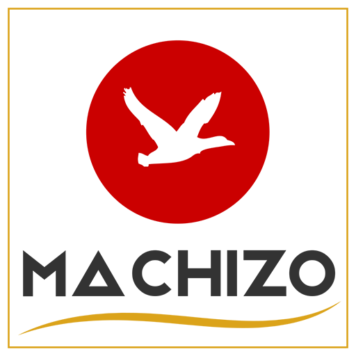 Machizo Multimedia