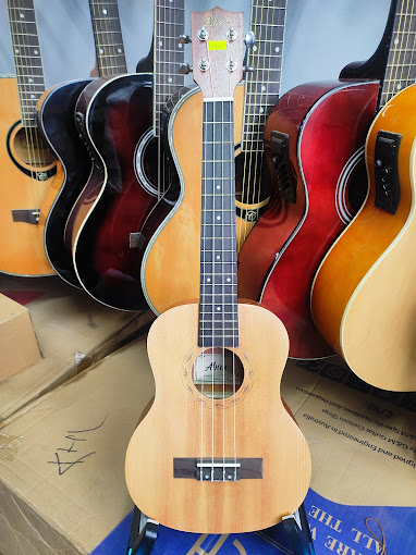 Mithun Musical Store