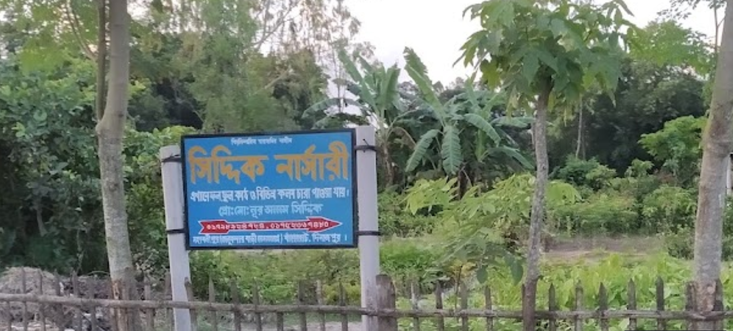 Siddik Nursery