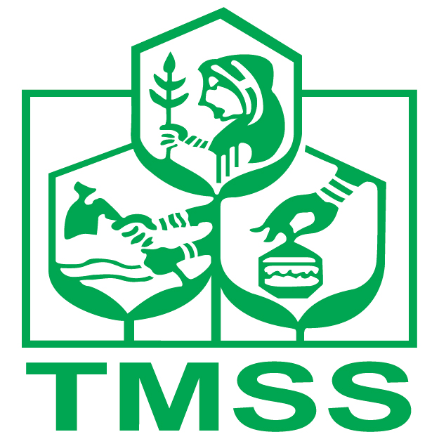 TMSS Nursing Institute