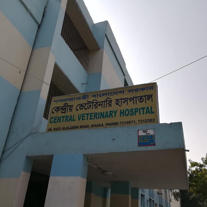 Central Veterinary Hospital