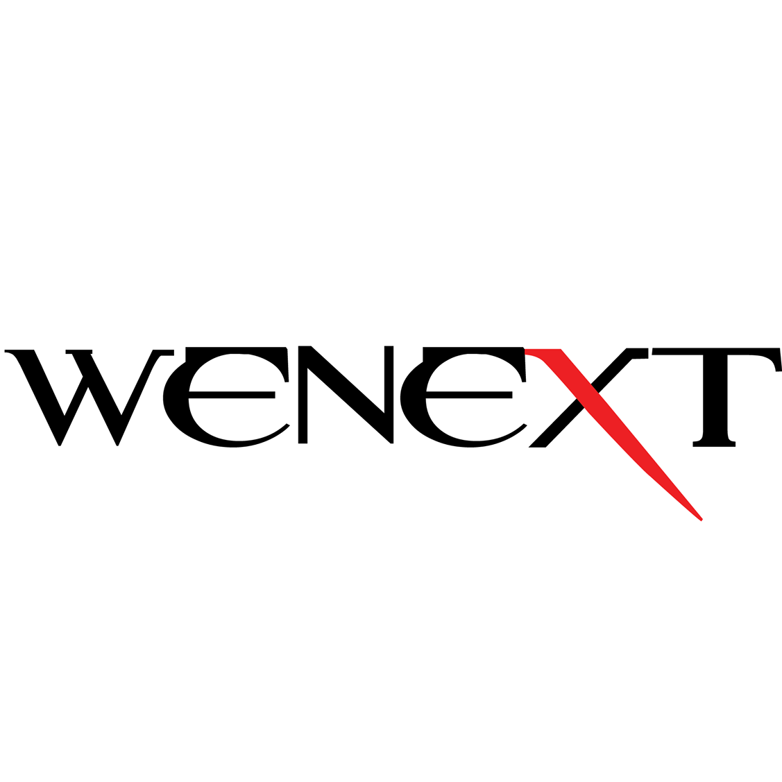 Wenext Apparels Limited