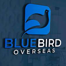 Bluebird Overseas
