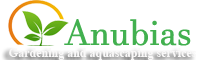 Anubias