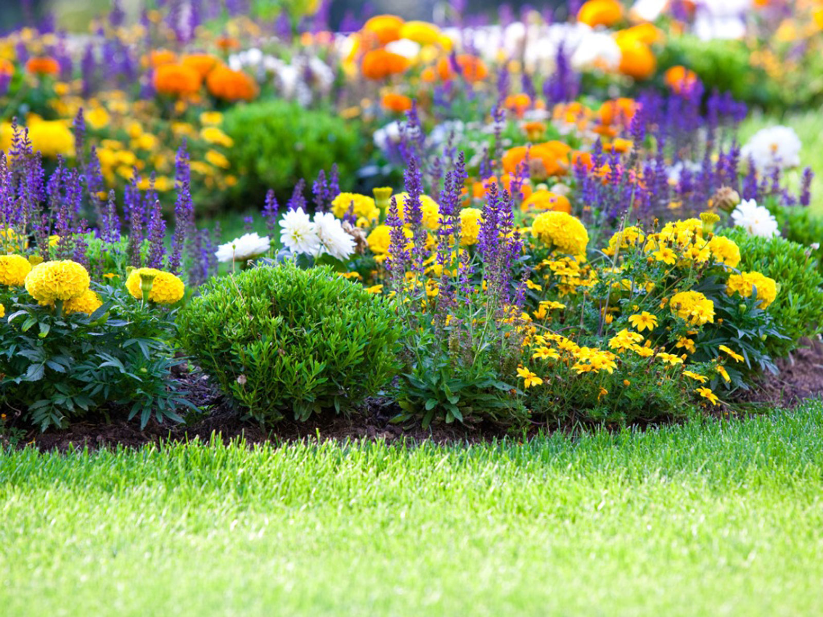 Sikder Garden