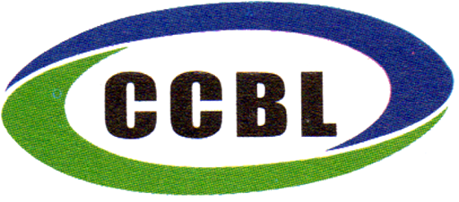 City Consultancy Limited (...