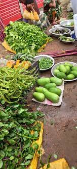 Copmany Gonj Kacha Bazar