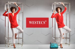 Westecs Gulshan