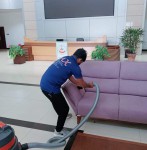 Professional Cleaning Service...