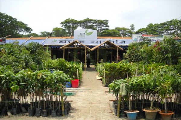 Brac Kanon Nursery