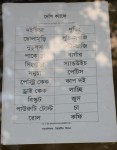 Deshi Cafe (Food Menu)