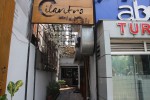 Cilantro