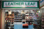 Leather Leaf
