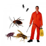 Scorpion Services