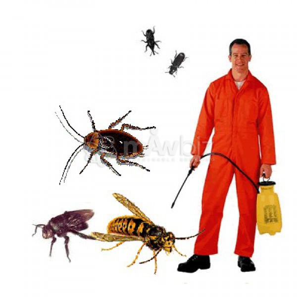 Scorpion Services (Water Tank Cleaning Service)