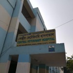 Central Veterinary Hospital