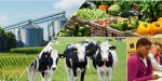 A.R AGRO PRODUCTS