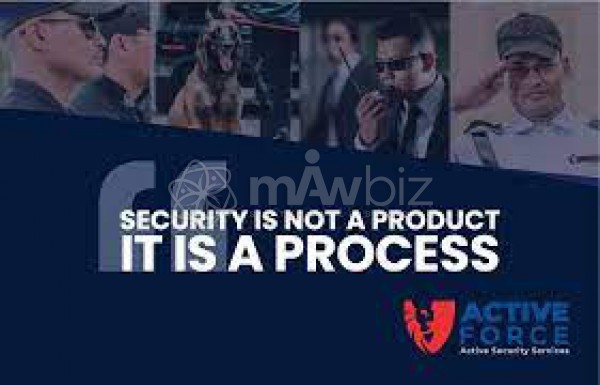 ACTIVE FORCE (Active Security Services)