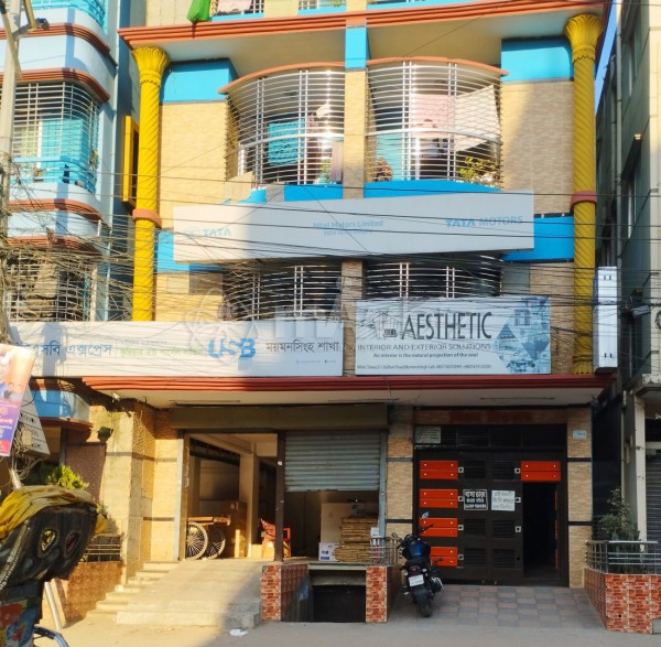 Aesthetic Interior And Exterior Solutions