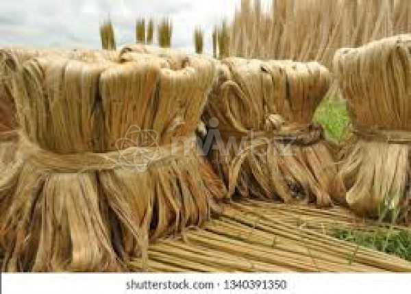 AFROZA AZAM KHAN JUTE MILLS