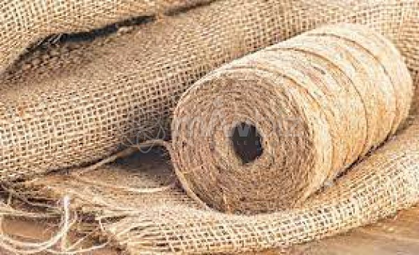 Alfe Sani Jute Ltd.