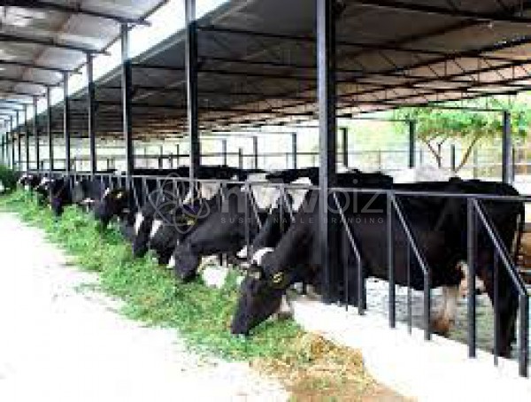 ALIF Poultry & Dairy Complex