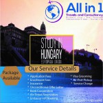 All in 1 Travels & Consultancy (Flyer)