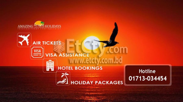 Amazing Holidays