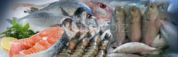 Anraj Fish Products Industries Ltd.