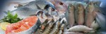 Anraj Fish Products Industries...