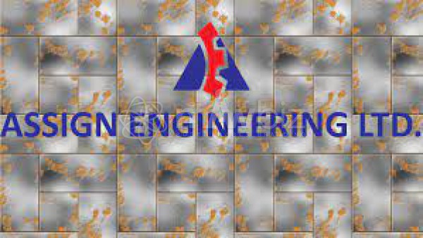 Assign Engineering Ltd