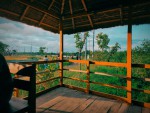 BAGERHAT POURO PARK -...