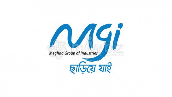 Basic Chemicals - Meghna Group of Industries