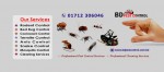 BD Pest Control